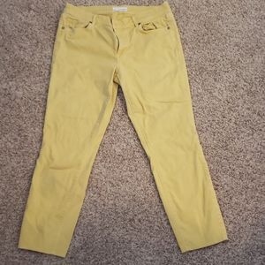 Anne Taylor Loft Jeans